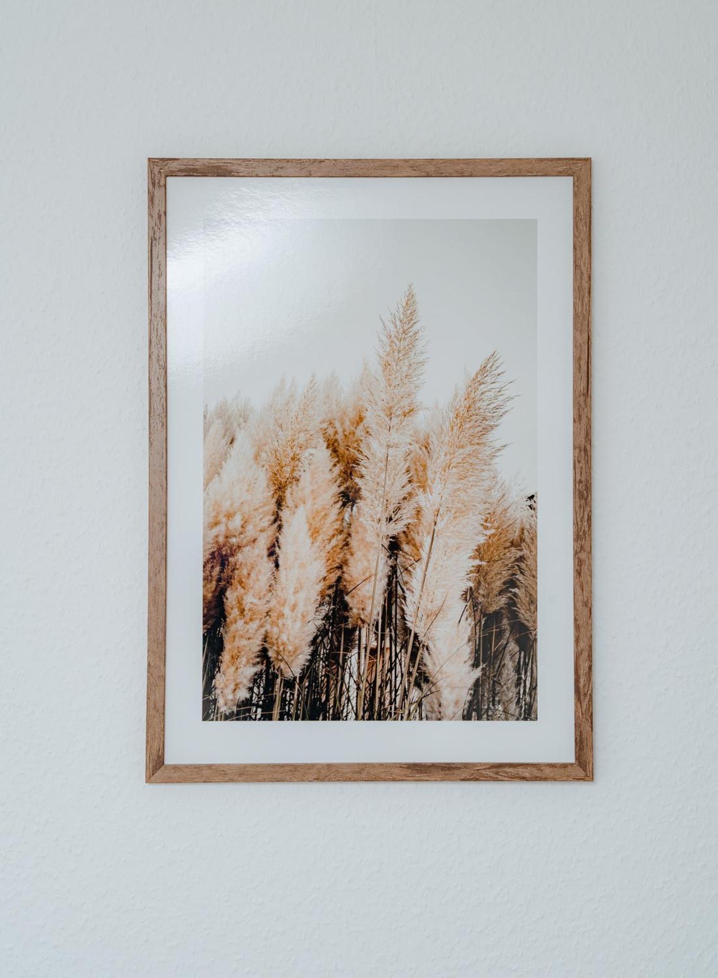 Appartements Am Alten Loehrtor 코블렌츠 외부 사진